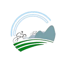 التصنيف